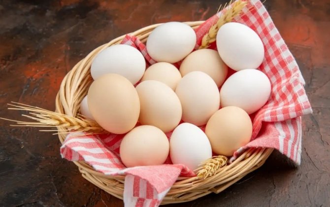 Azərbaycanda yumurta bahalaşacaq? - Açıqlama
