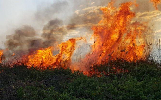 Füzuli və Cəbrayıl rayonları ərazisində güclü yanğın olub - YENİLƏNİB