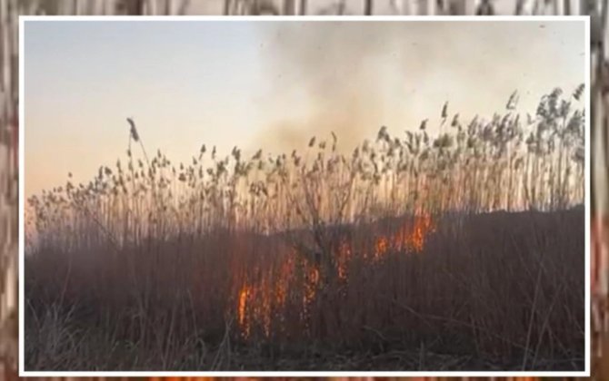 Cəbrayılda yanğın törədən şəxs saxlanıldı