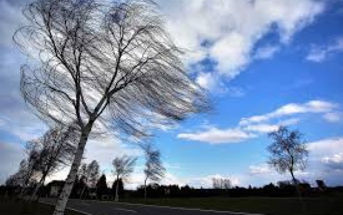 Синоптики предупреждают: Завтра в Баку и регионах ожидается сильный ветер