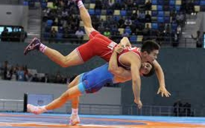 В чемпионате Азербайджане завершились соревнования по греко-римской борьбе