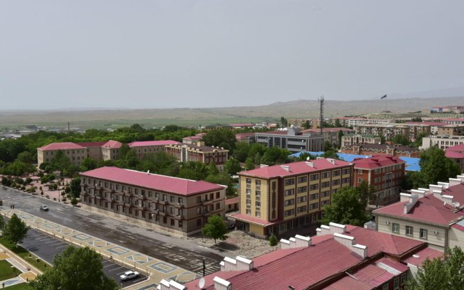 Azərbaycanda görünən heyvan təəccüb doğurdu: Beləsi hələ olmayıb – VİDEO