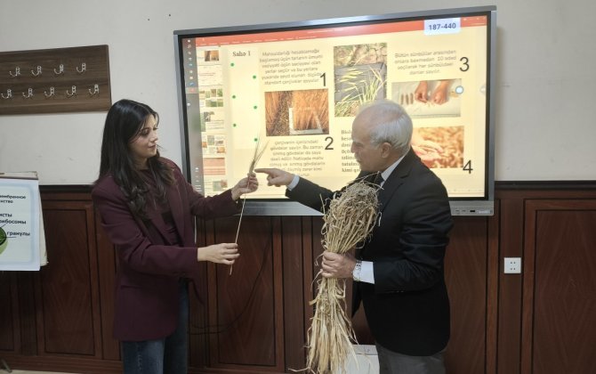 BDU-da aqrar sığorta fənninin tədrisinə başlanılıb - Azərbaycanda ilk