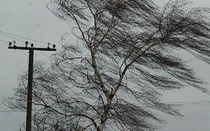 Ожидается сильный ветер