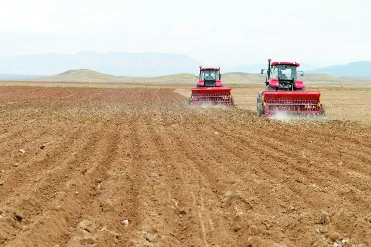 Ağdamda əkin sahəsindən meyit tapıldı