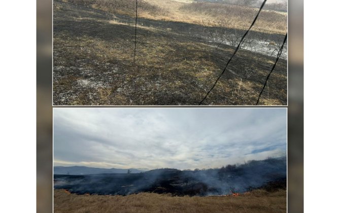 Xocalıda yanğına səbəb olan şəxs saxlanılıb