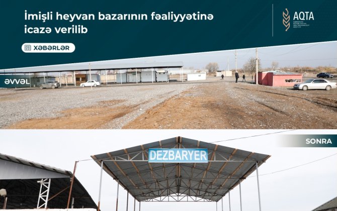 İmişlidə heyvan satışı bazarı açıldı - FOTOLAR