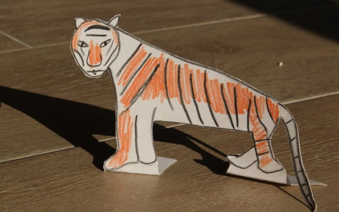 В Венесуэле назвали Россию «бумажным тигром»