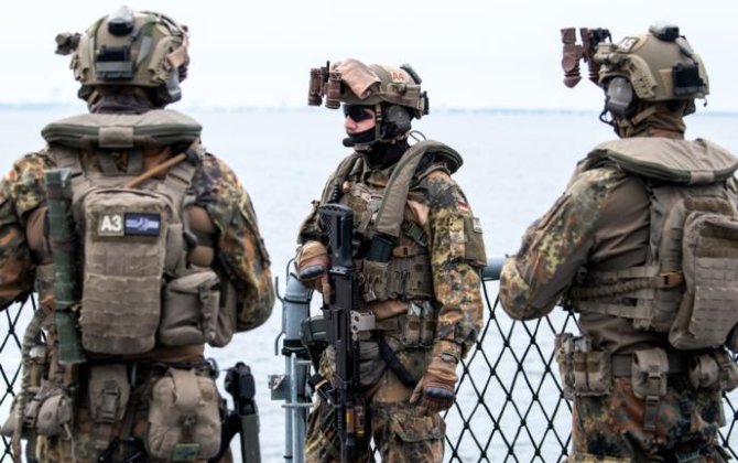 Bild: ФРГ на текущей неделе направит своих военнослужащих в Гренландию