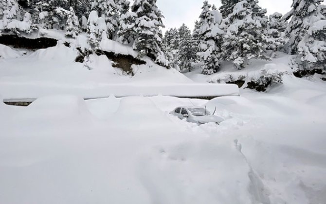 В Загатале высота снежного покрова достигает 50 см
