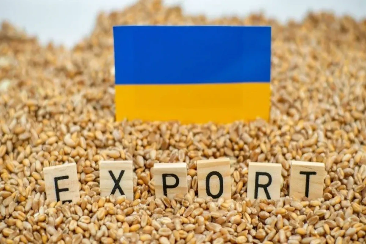 Сибига: В 2025 году было похищено более 2 млн. тонн украинского зерна