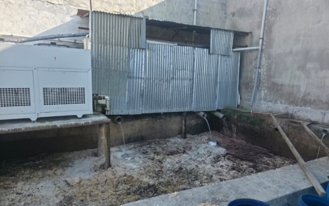 В Новаханы выявлен антисанитарный пункт забоя скота