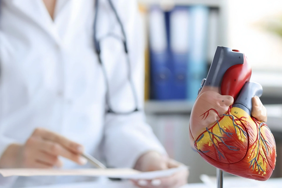 Раскрыты способы защитить сердце от трех скрытых факторов риска