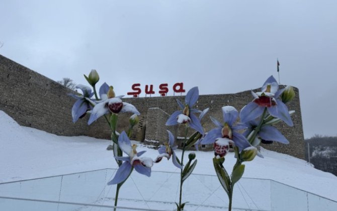Şuşa bu gün... - FOTOLAR