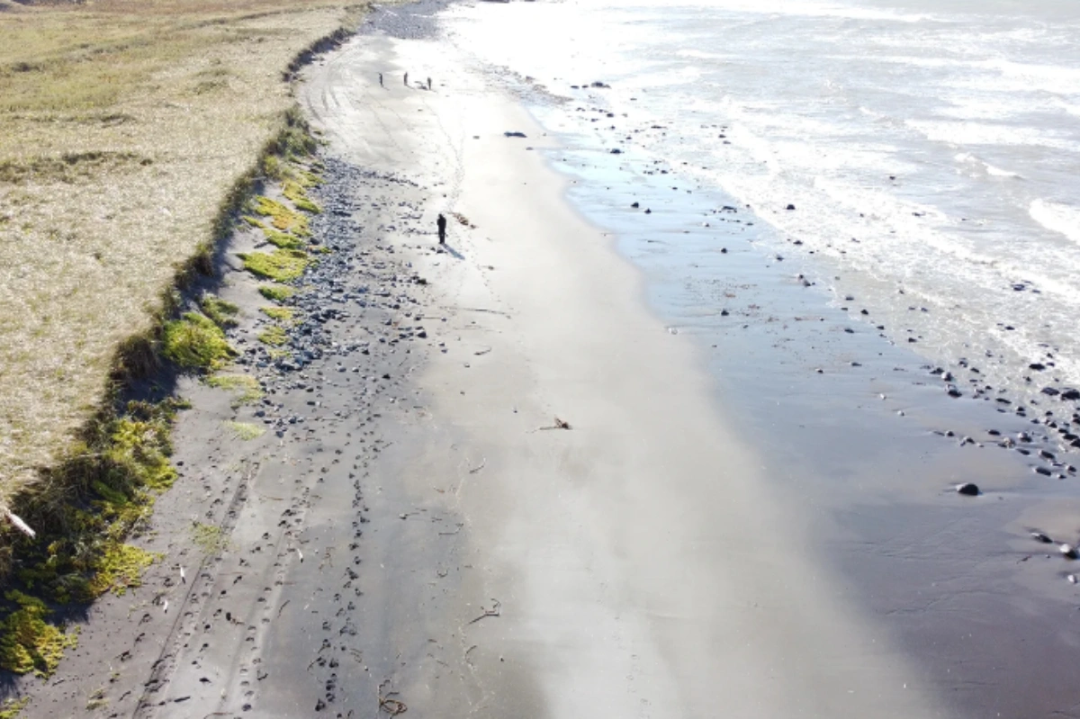 İqlim dəyişikliyinin okeana vurduğu iqtisadi ziyan hesablandı - Tədqiqatçılardan HƏYƏCAN TƏBİLİ