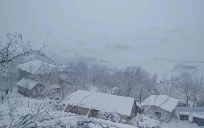 Güclü qar səbəbindən Cəlilabad-Yardımlı yolu bağlanıb