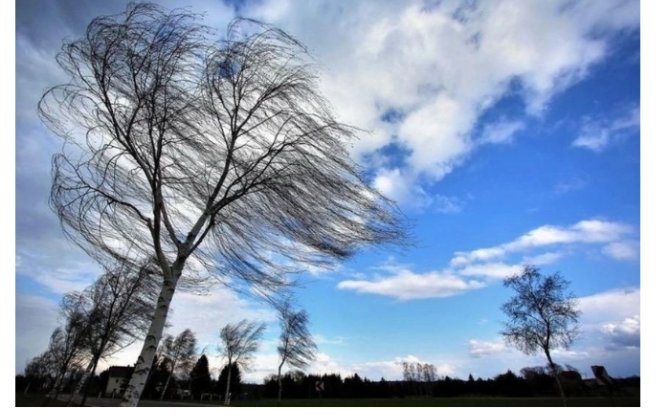 Синоптики предупредили об усилении ветра в Азербайджане