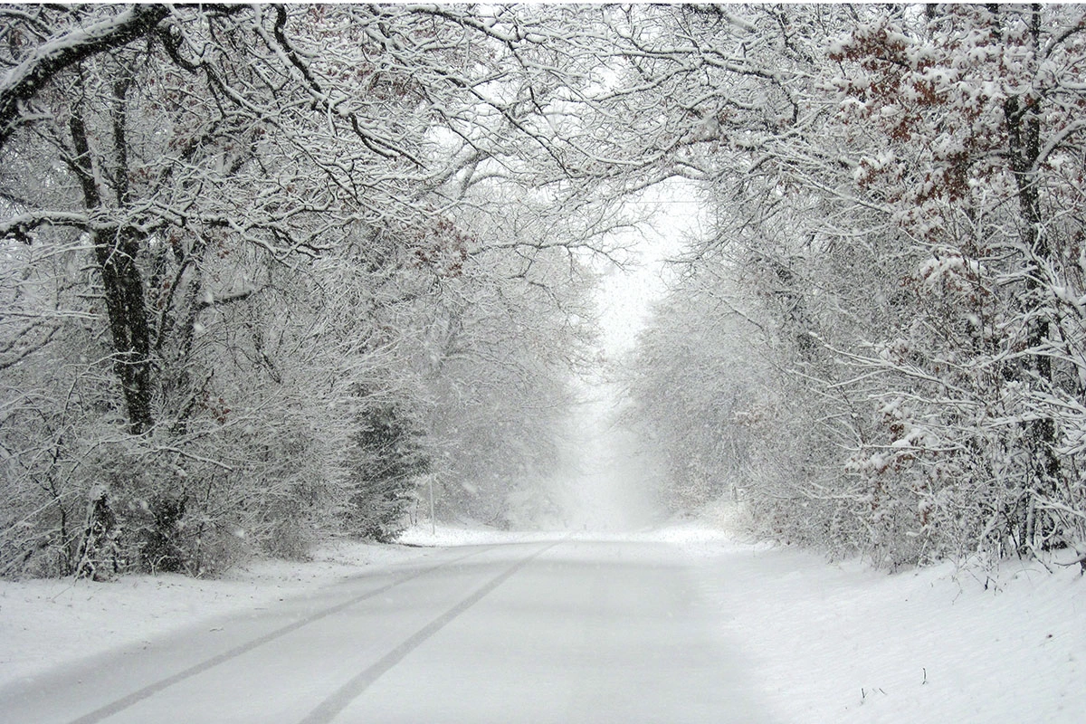 FHN kəskin hava şəraiti ilə bağlı əhaliyə MÜRACİƏT ETDİ