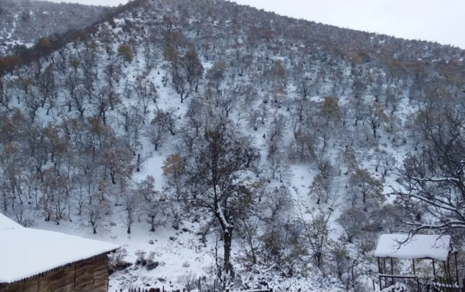 Azərbaycanın əksər yerlərində yağıntılar intensiv və güclüdür - FAKTİKİ HAVA