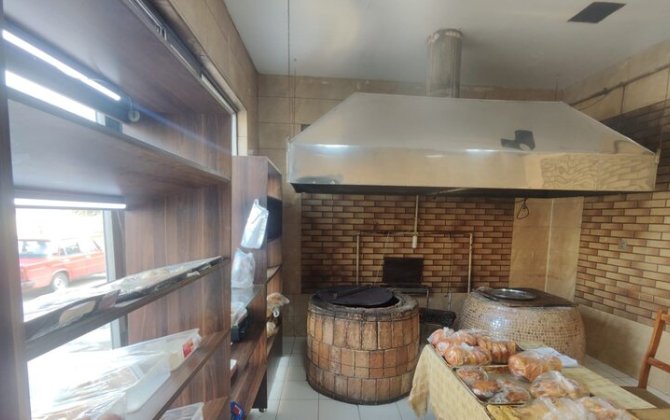 Ət qutabında at DNT-si aşkarlandı - VİDEO