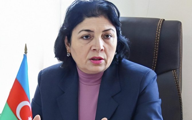 “Bakı Şəhər İcra Hakimiyyəti dövlət dili haqqında qanunun yerinə yetirilməsi üçün mühüm işlərə başlamalıdır”