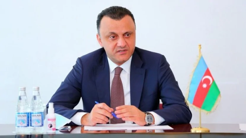 TƏBİB-in icraçı direktoru: 