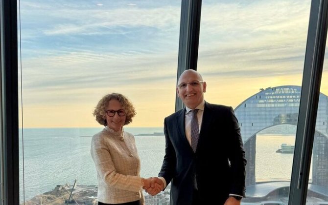 Амирбеков и Шекеринска обсудили мирный процесс между Баку и Ереваном