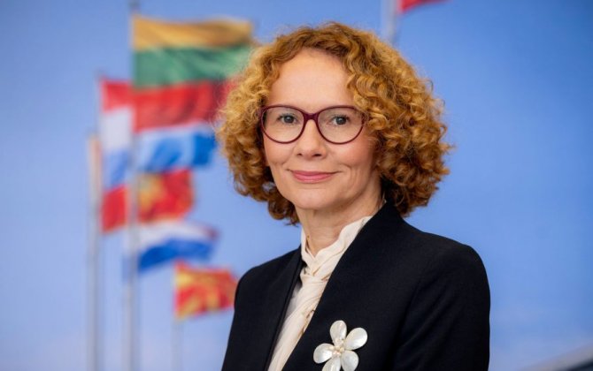 Шекеринска: Южный Кавказ представляет ключевую значимость для НАТО