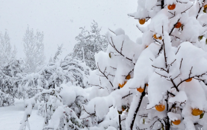 Bu tarixdən kəskin soyuqlar düşəcək, qar yağacaq