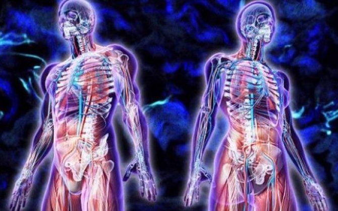 İnsanın gücü neçə yaşından azalmağa başlayır?