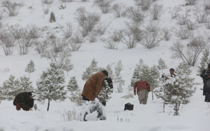 ABŞ-də qar fırtınasına görə 230 mindən çox ev işıqsız qalıb