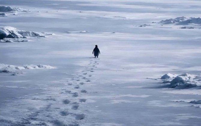 Uğursuzluqla üzləşdi, amma milyardlarla insanı motivasiya etdi - VİDEO