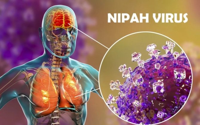 Dünyada dəhşətli virus yayılır - Səhiyyə Nazirliyindən əhaliyə ÇAĞIRIŞ
