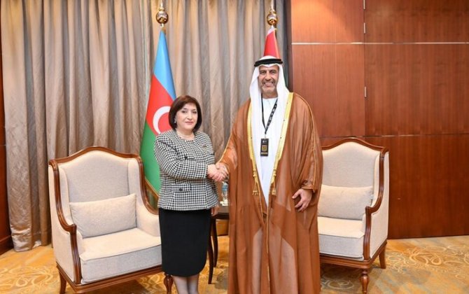 Milli Məclis sədri BƏƏ Federal Milli Şurasının sədr müavini ilə görüşdü - FOTO