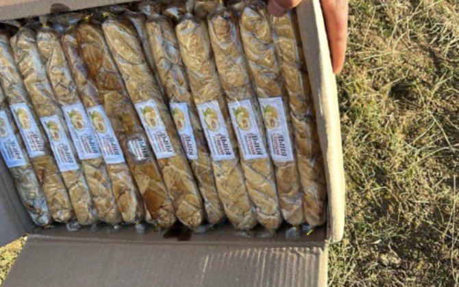 Qurudulmuş yemiş və halvalarda uyğunsuzluq aşkarlandı - FOTO