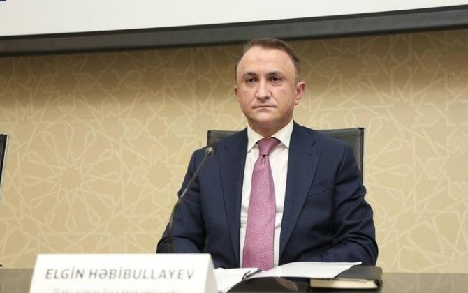 Elgin Həbibullayev müavinini, şöbə müdirini, icra nümayəndəsini işdən çıxardı - SİYAHI