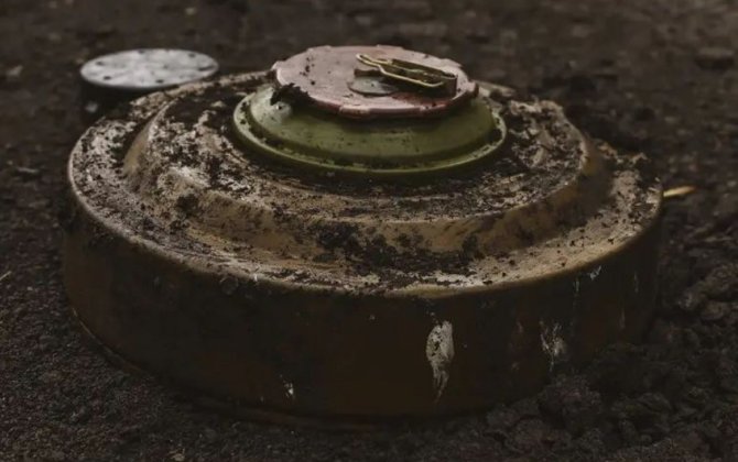 Названо число пострадавших в результате взрывов мин в прошлом году в Азербайджане