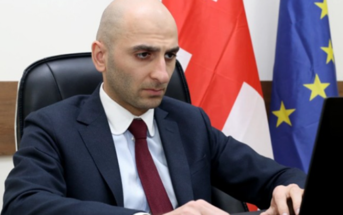 Бывший замминистра здравоохранения Грузии выпущен под залог