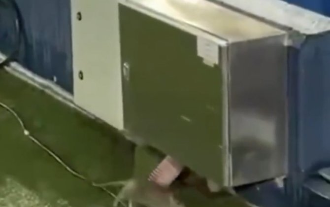 «Барселона» сыграет в Лиге чемпионов на стадионе с крысами