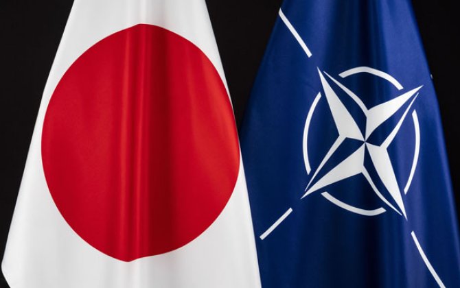 Япония и НАТО обсудили сотрудничество в сфере кибербезопасности