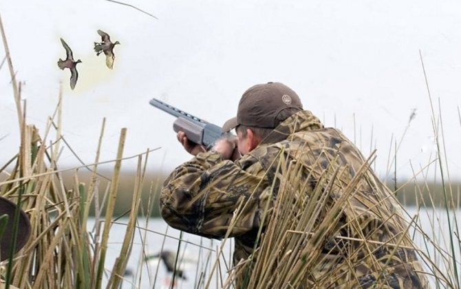 Azərbaycanda ov mövsümünün müddəti UZADILDI