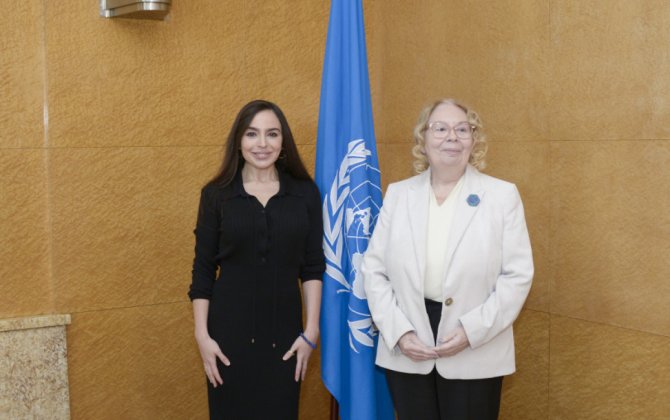 Leyla Əliyeva BMT-nin Cenevrədəki ofisinin baş direktoru ilə görüşüb - FOTO