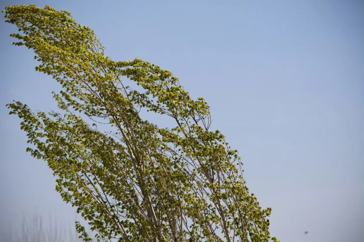 В ряде регионов Азербайджана объявлено метеопредупреждение