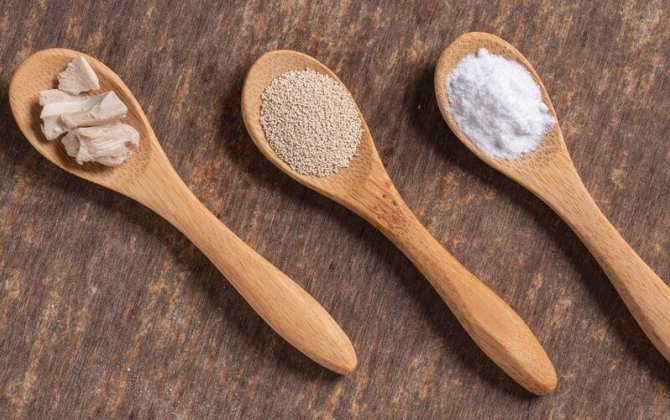 Yaş maya, yoxsa quru maya - Hansını seçməli?