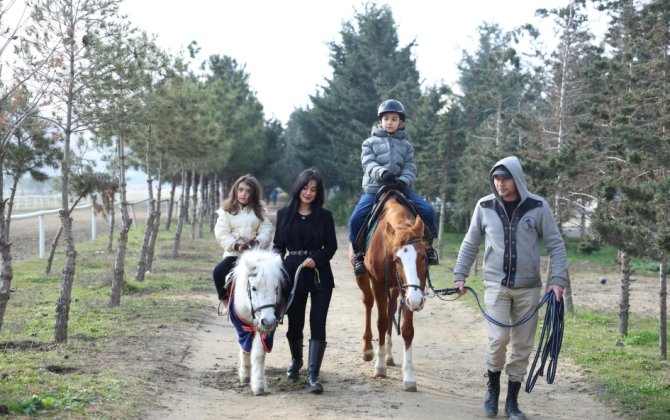 Əlilliyi olan 1300-dən çox şəxs hippoterapiya xidmətlərinə cəlb olunub - FOTO