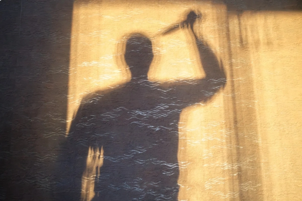 Qətlə yetirilən şəxsin qardaşı məhkəmədə ifadə verdi