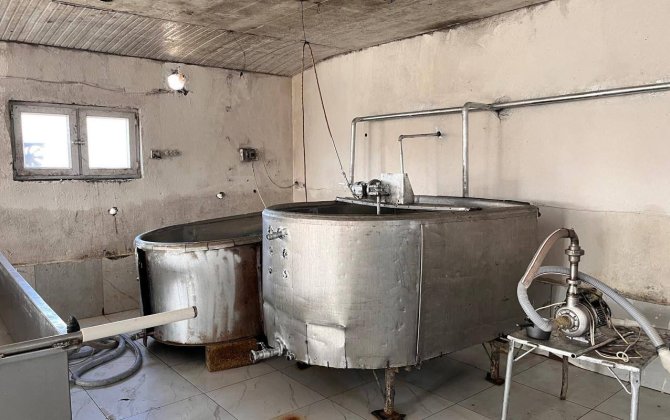 Ağcabədidə pendir sexinin fəaliyyəti məhdudlaşdırıldı - FOTOLAR