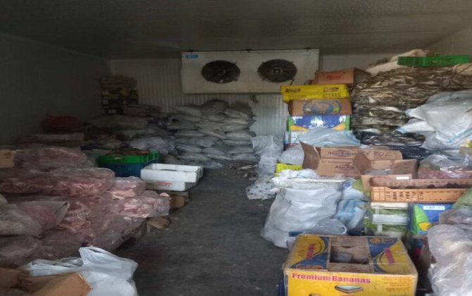 Hisə verilmiş balıq istehsalı sexində nöqsanlar aşkarlandı - FOTO