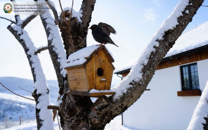 Laçın bir cənnətdir - Qışı möcüzə (VİDEO)