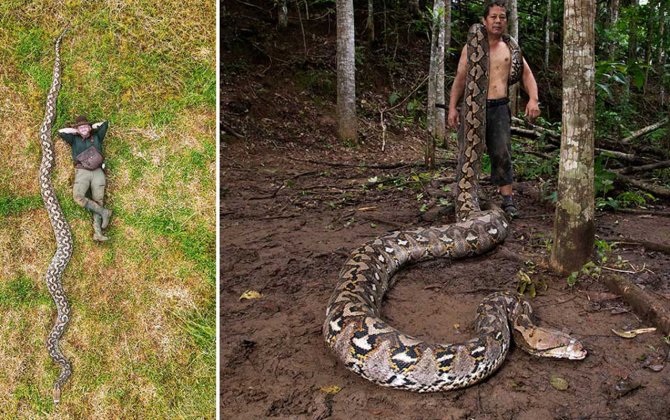 Uzunluğuna görə “Ginnesin Rekordlar Kitabı”na düşdü